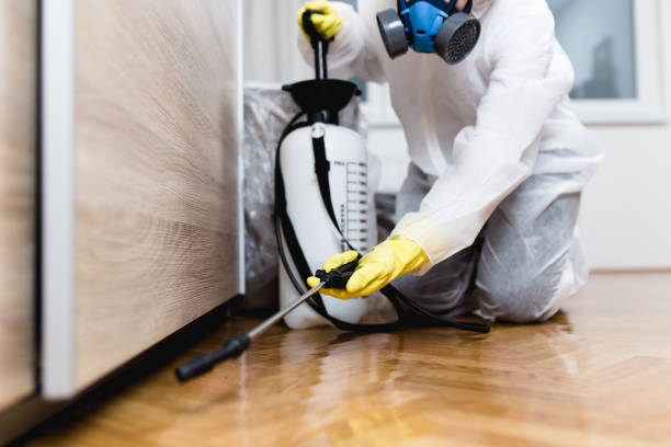Best Wildlife Control Services  in South Valley, NM