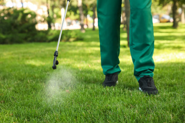 Best Commercial Pest Control Services  in South Valley, NM