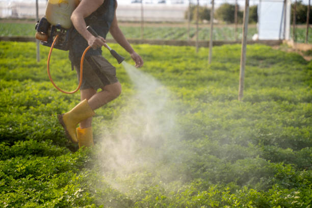 Pest Control for Restaurants in South Valley, NM