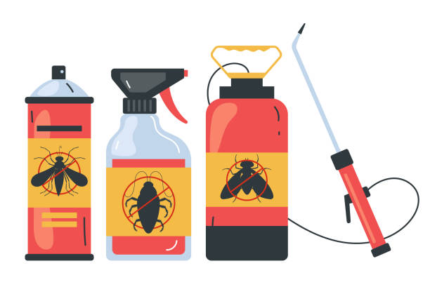 Best Spider Control Near Me  in South Valley, NM